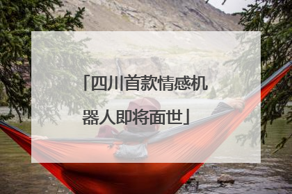 四川首款情感机器人即将面世