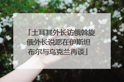 土耳其外长访俄斡旋 俄外长说愿在伊斯坦布尔与乌克兰再谈