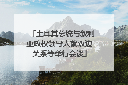 土耳其总统与叙利亚政权领导人就双边关系等举行会谈