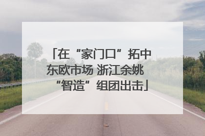 在“家门口”拓中东欧市场 浙江余姚“智造”组团出击