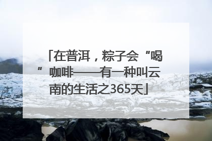 在普洱，粽子会“喝”咖啡——有一种叫云南的生活之365天