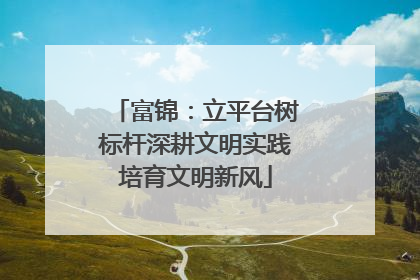 富锦：立平台树标杆深耕文明实践培育文明新风