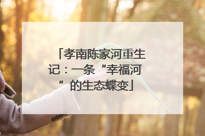 孝南陈家河重生记：一条“幸福河”的生态蝶变