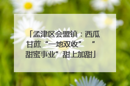 孟津区会盟镇：西瓜甘蔗“一地双收” “甜蜜事业”甜上加甜