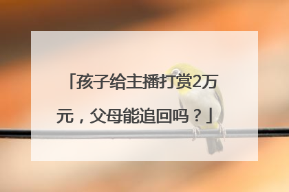 孩子给主播打赏2万元，父母能追回吗？