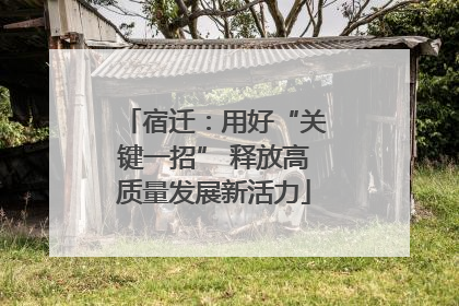 宿迁：用好“关键一招” 释放高质量发展新活力
