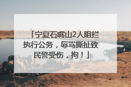 宁夏石嘴山2人阻拦执行公务，辱骂撕扯致民警受伤，拘！