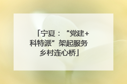 宁夏：“党建+科特派”架起服务乡村连心桥