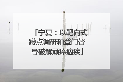 宁夏：以靶向式蹲点调研和登门督导破解顽瘴痼疾