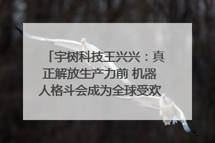 宇树科技王兴兴：真正解放生产力前 机器人格斗会成为全球受欢迎的赛事｜科技观察