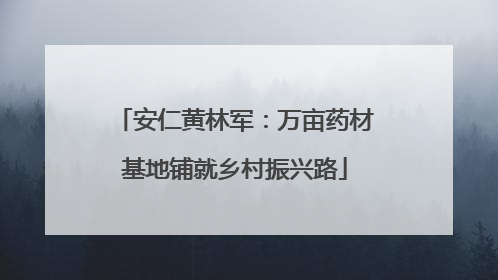 安仁黄林军：万亩药材基地铺就乡村振兴路
