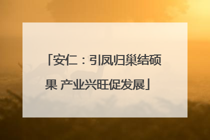 安仁：引凤归巢结硕果 产业兴旺促发展