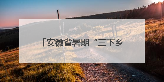 安徽省暑期“三下乡”社会实践活动启动