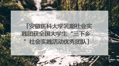 安徽医科大学暑期社会实践团获全国大学生“三下乡”社会实践活动优秀团队