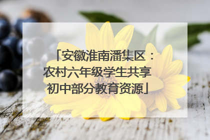 安徽淮南潘集区：农村六年级学生共享初中部分教育资源
