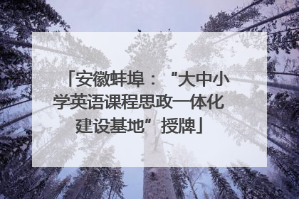 安徽蚌埠：“大中小学英语课程思政一体化建设基地”授牌