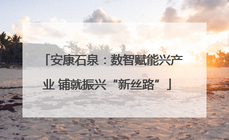 安康石泉：数智赋能兴产业 铺就振兴“新丝路”