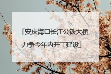 安庆海口长江公铁大桥力争今年内开工建设