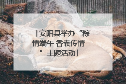 安阳县举办“粽情端午 香囊传情”主题活动