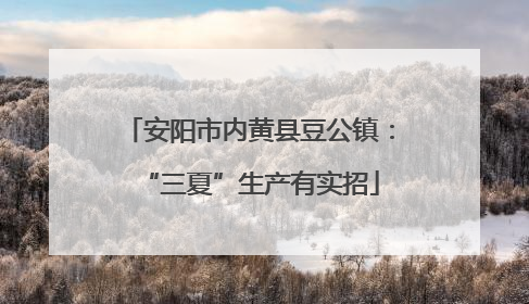 安阳市内黄县豆公镇：“三夏”生产有实招