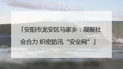 安阳市龙安区马家乡：凝聚社会合力 织密防汛“安全网”