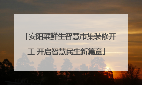 安阳菜鲜生智慧市集装修开工 开启智慧民生新篇章