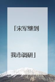 宋军继到我市调研