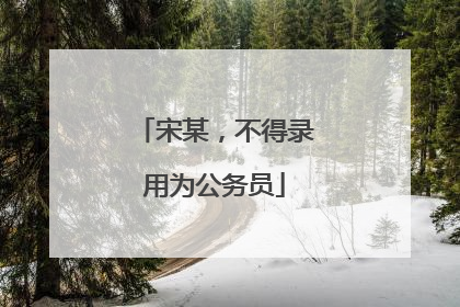 宋某，不得录用为公务员