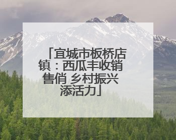 宜城市板桥店镇：西瓜丰收销售俏 乡村振兴添活力