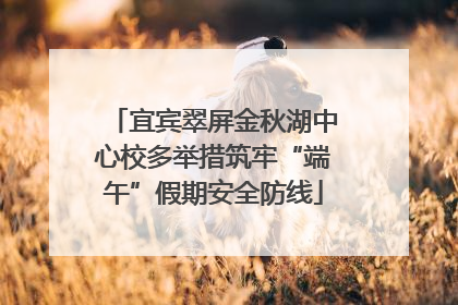 宜宾翠屏金秋湖中心校多举措筑牢“端午”假期安全防线