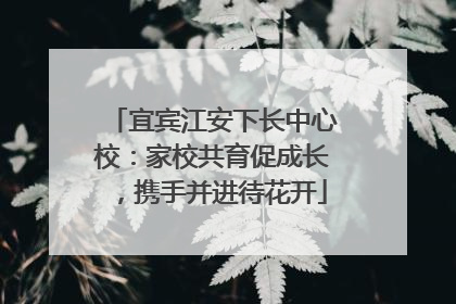 宜宾江安下长中心校：家校共育促成长，携手并进待花开