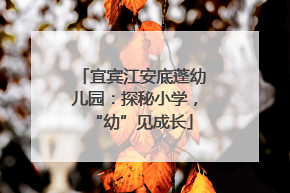 宜宾江安底蓬幼儿园：探秘小学，“幼”见成长