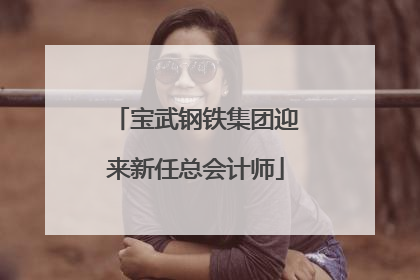宝武钢铁集团迎来新任总会计师