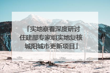 实地察看深度研讨 住建部专家组实地复核城阳城市更新项目