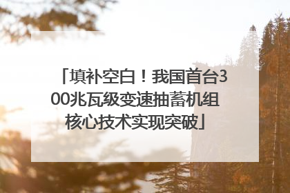 填补空白！我国首台300兆瓦级变速抽蓄机组核心技术实现突破