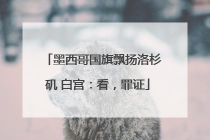 墨西哥国旗飘扬洛杉矶 白宫：看，罪证