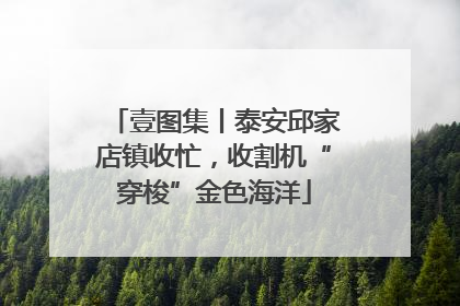 壹图集丨泰安邱家店镇收忙，收割机“穿梭”金色海洋