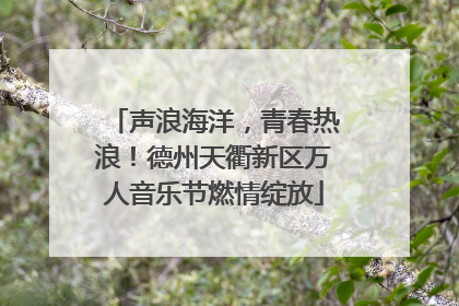 声浪海洋，青春热浪！德州天衢新区万人音乐节燃情绽放