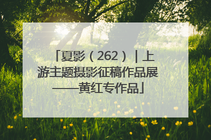 夏影（262）｜上游主题摄影征稿作品展——黄红专作品