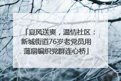 夏风送爽，温情社区：新城街道76岁老党员用蒲扇编织党群连心桥