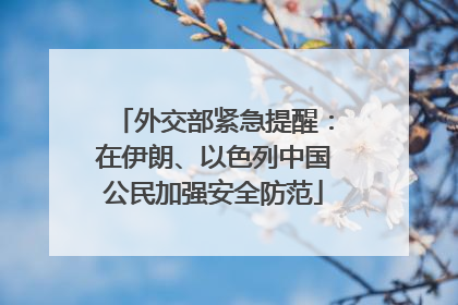 外交部紧急提醒：在伊朗、以色列中国公民加强安全防范