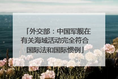 外交部：中国军舰在有关海域活动完全符合国际法和国际惯例