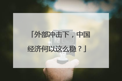 外部冲击下，中国经济何以这么稳？