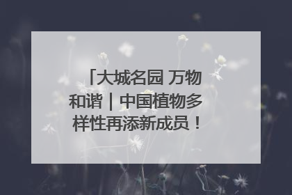 大城名园 万物和谐｜中国植物多样性再添新成员！它只在西藏墨脱