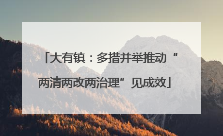 大有镇：多措并举推动“两清两改两治理”见成效