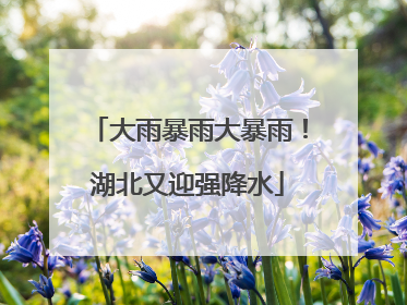 大雨暴雨大暴雨！湖北又迎强降水