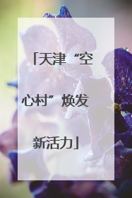 天津“空心村”焕发新活力