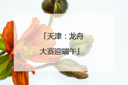 天津：龙舟大赛迎端午