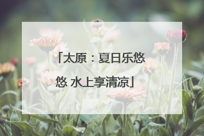 太原：夏日乐悠悠 水上享清凉