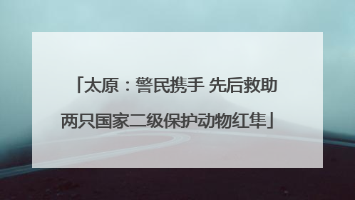 太原：警民携手 先后救助两只国家二级保护动物红隼